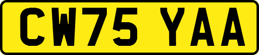 CW75YAA