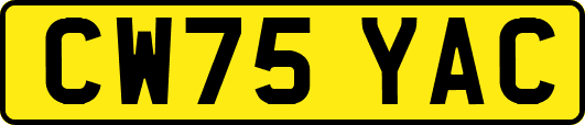 CW75YAC