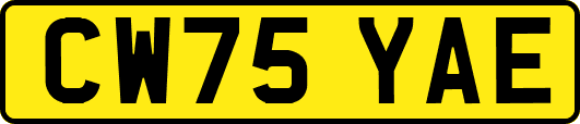 CW75YAE