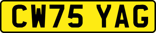 CW75YAG