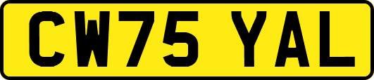 CW75YAL