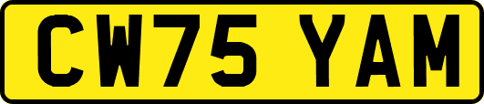 CW75YAM