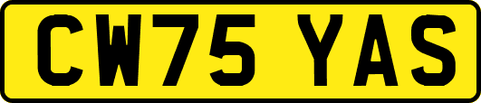 CW75YAS