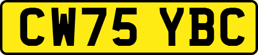 CW75YBC