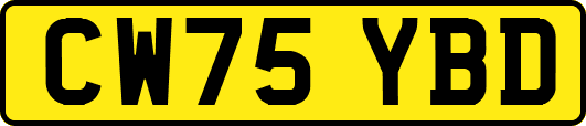 CW75YBD