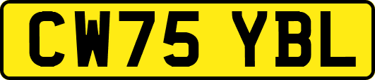 CW75YBL