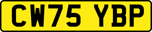 CW75YBP