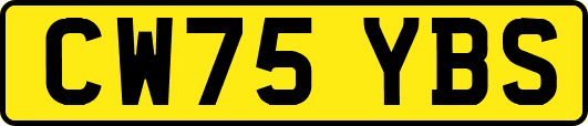 CW75YBS