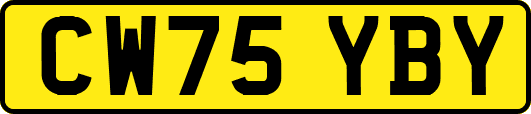 CW75YBY