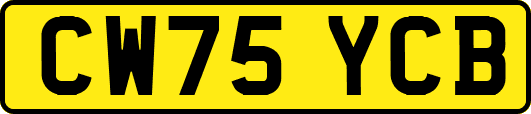 CW75YCB