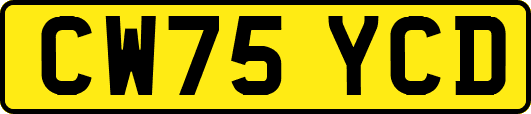 CW75YCD