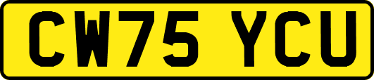 CW75YCU