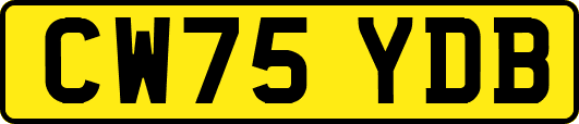 CW75YDB
