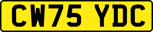 CW75YDC