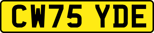 CW75YDE