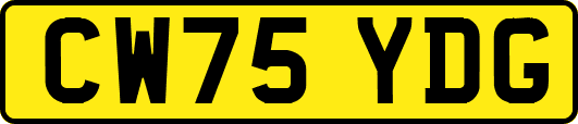 CW75YDG