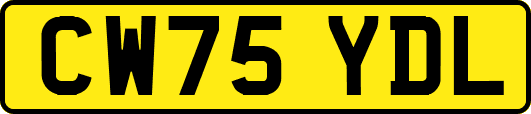 CW75YDL