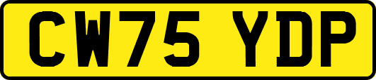 CW75YDP