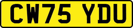 CW75YDU