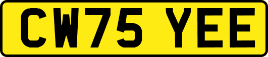 CW75YEE