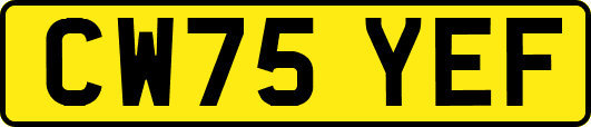 CW75YEF