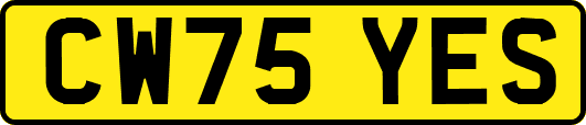 CW75YES