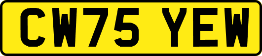 CW75YEW