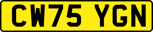 CW75YGN