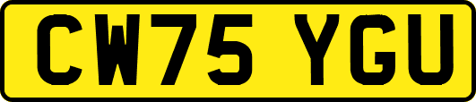 CW75YGU