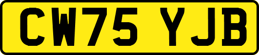 CW75YJB