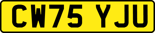 CW75YJU