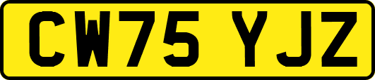 CW75YJZ