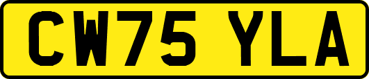 CW75YLA