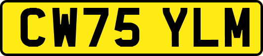 CW75YLM