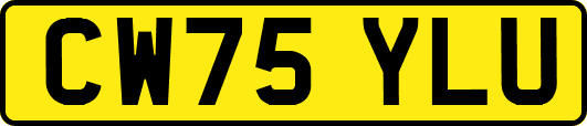 CW75YLU