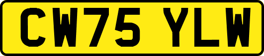CW75YLW