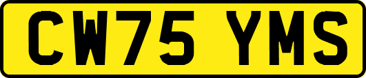 CW75YMS