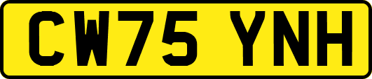 CW75YNH