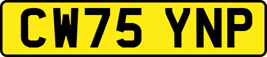 CW75YNP
