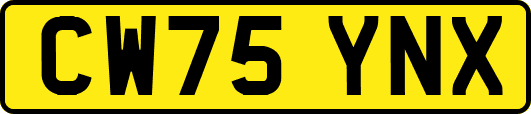 CW75YNX
