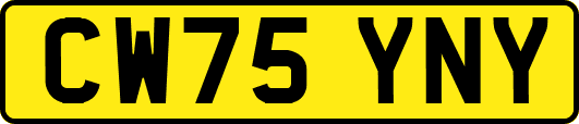 CW75YNY