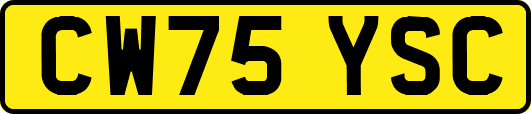 CW75YSC