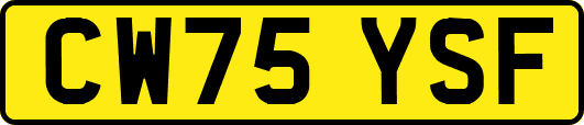 CW75YSF