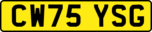 CW75YSG