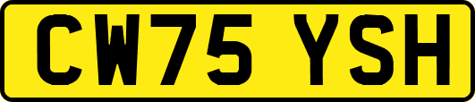 CW75YSH