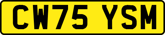 CW75YSM