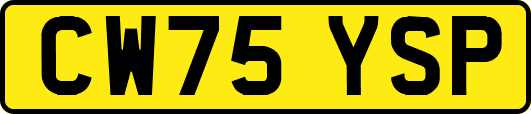 CW75YSP
