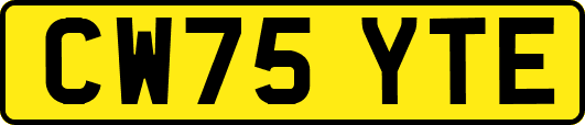 CW75YTE