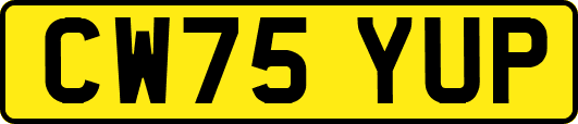 CW75YUP