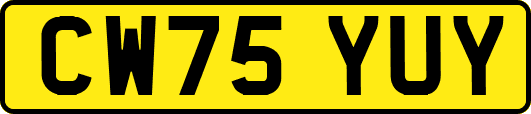 CW75YUY